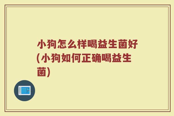 小狗怎么样喝益生菌好(小狗如何正确喝益生菌)