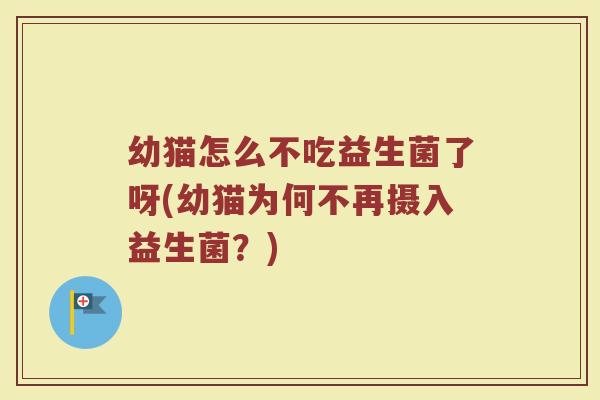 幼猫怎么不吃益生菌了呀(幼猫为何不再摄入益生菌？)