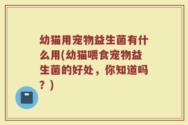 幼猫用宠物益生菌有什么用(幼猫喂食宠物益生菌的好处，你知道吗？)