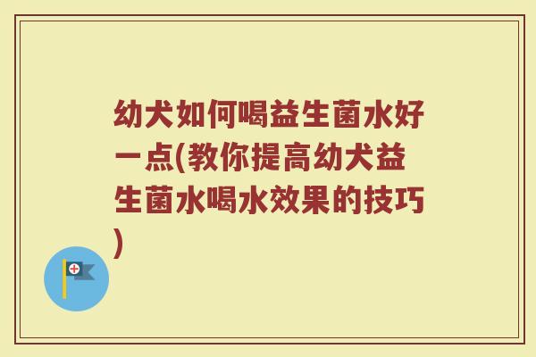 幼犬如何喝益生菌水好一点(教你提高幼犬益生菌水喝水效果的技巧)