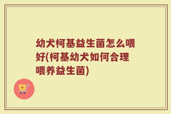幼犬柯基益生菌怎么喂好(柯基幼犬如何合理喂养益生菌)