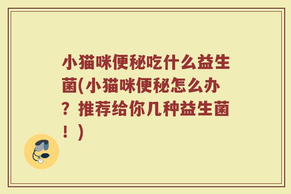 小猫咪便秘吃什么益生菌(小猫咪便秘怎么办?推荐给你几种益生菌!)