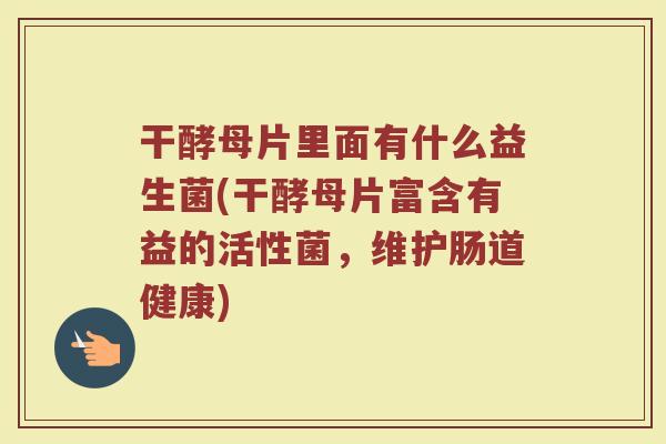 干酵母片里面有什么益生菌(干酵母片富含有益的活性菌，维护肠道健康)