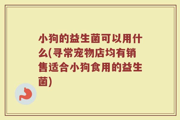 小狗的益生菌可以用什么(寻常宠物店均有销售适合小狗食用的益生菌)