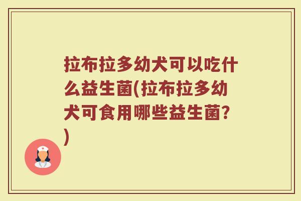 拉布拉多幼犬可以吃什么益生菌(拉布拉多幼犬可食用哪些益生菌？)