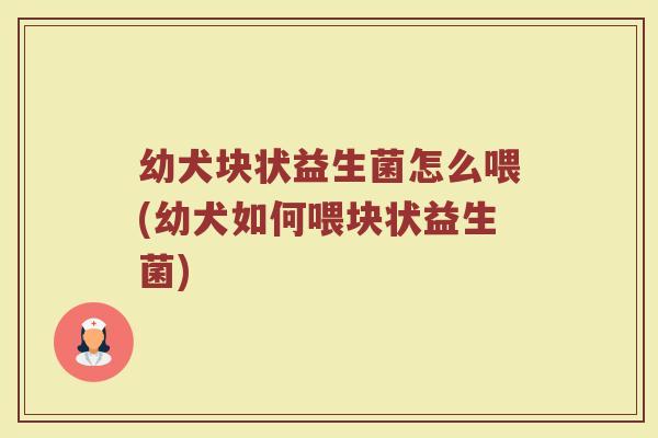 幼犬块状益生菌怎么喂(幼犬如何喂块状益生菌)