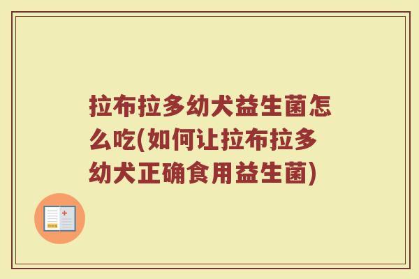 拉布拉多幼犬益生菌怎么吃(如何让拉布拉多幼犬正确食用益生菌)