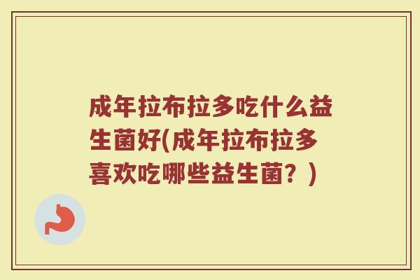 成年拉布拉多吃什么益生菌好(成年拉布拉多喜欢吃哪些益生菌？)
