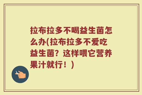 拉布拉多不喝益生菌怎么办(拉布拉多不爱吃益生菌?这样喂它营养果汁就行!)