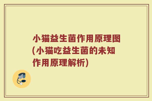 小猫益生菌作用原理图(小猫吃益生菌的未知作用原理解析)