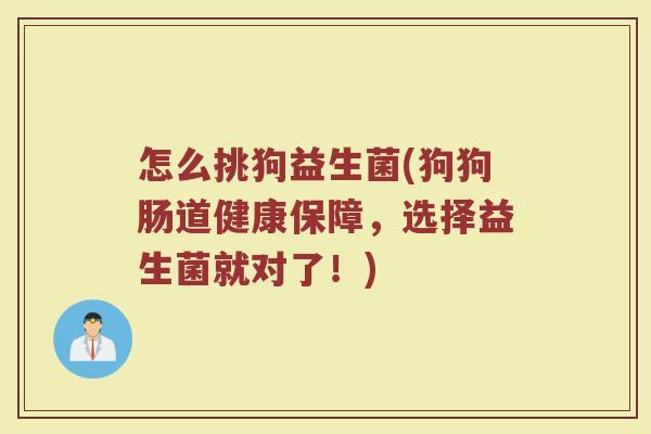 怎么挑狗益生菌(狗狗肠道健康保障，选择益生菌就对了！)