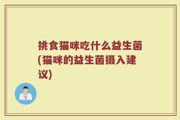 挑食猫咪吃什么益生菌(猫咪的益生菌摄入建议)