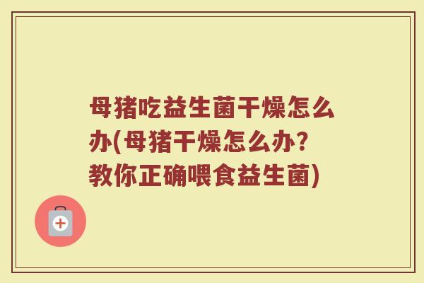 母猪吃益生菌干燥怎么办(母猪干燥怎么办？教你正确喂食益生菌)