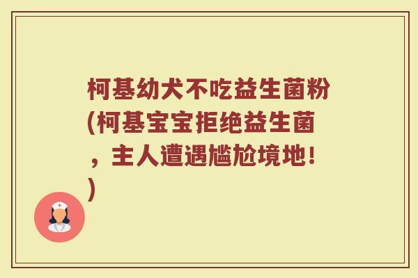 柯基幼犬不吃益生菌粉(柯基宝宝拒绝益生菌，主人遭遇尴尬境地！)