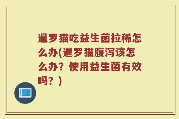 暹罗猫吃益生菌拉稀怎么办(暹罗猫腹泻该怎么办?使用益生菌有效吗?)