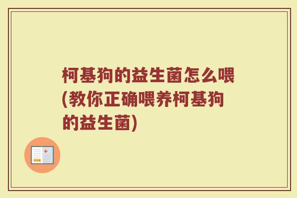 柯基狗的益生菌怎么喂(教你正确喂养柯基狗的益生菌)