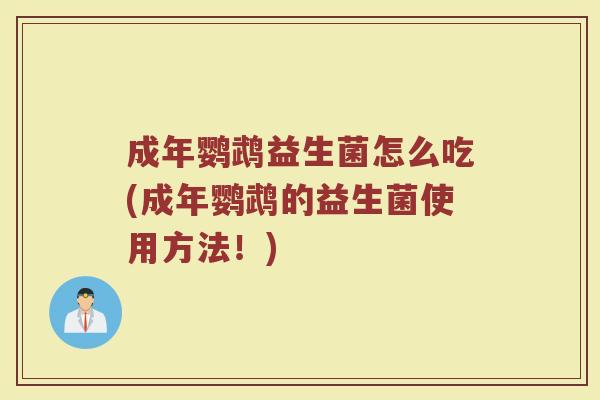 成年鹦鹉益生菌怎么吃(成年鹦鹉的益生菌使用方法!)