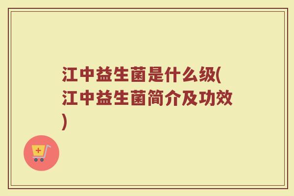 江中益生菌是什么级(江中益生菌简介及功效)