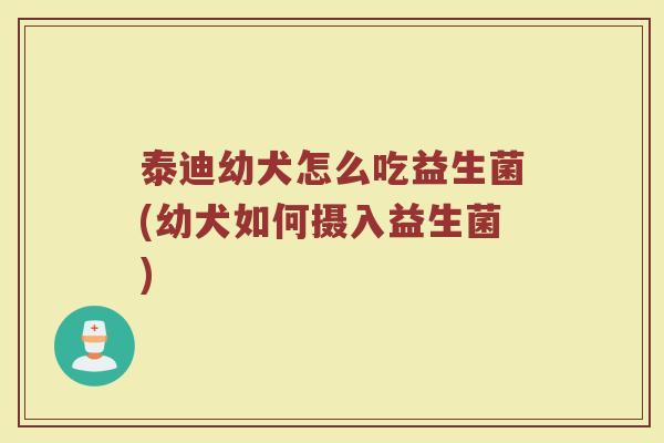 泰迪幼犬怎么吃益生菌(幼犬如何摄入益生菌)