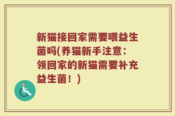 新猫接回家需要喂益生菌吗(养猫新手注意：领回家的新猫需要补充益生菌！)