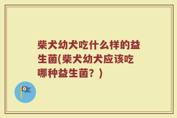 柴犬幼犬吃什么样的益生菌(柴犬幼犬应该吃哪种益生菌？)