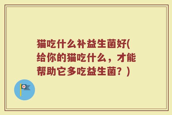 猫吃什么补益生菌好(给你的猫吃什么，才能帮助它多吃益生菌？)