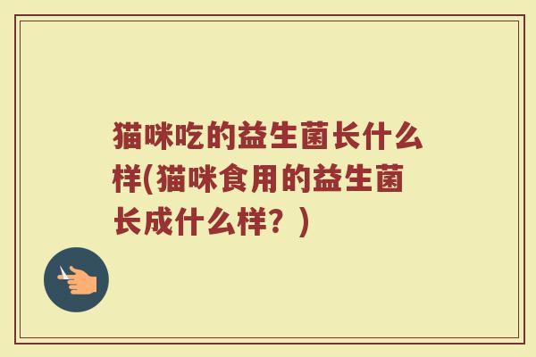猫咪吃的益生菌长什么样(猫咪食用的益生菌长成什么样?)