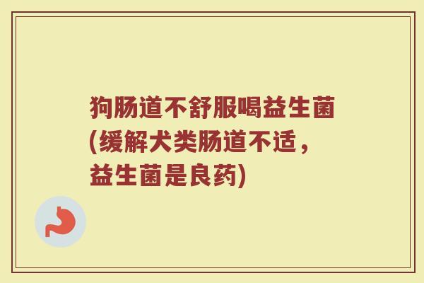 狗肠道不舒服喝益生菌(缓解犬类肠道不适，益生菌是良药)