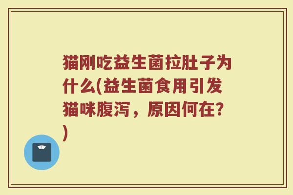 猫刚吃益生菌拉肚子为什么(益生菌食用引发猫咪腹泻，原因何在？)