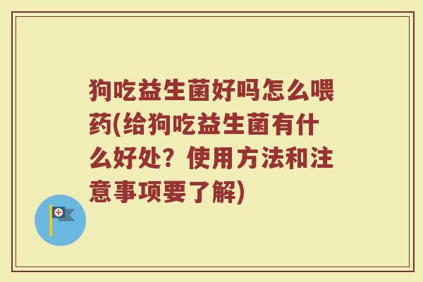 狗吃益生菌好吗怎么喂药(给狗吃益生菌有什么好处?使用方法和注意事项要了解) 狗吃益生菌好吗怎么喂药(给狗吃益生菌有什么好处?使用方法和注意事项要了解)