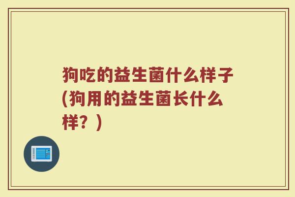 狗吃的益生菌什么样子(狗用的益生菌长什么样？)