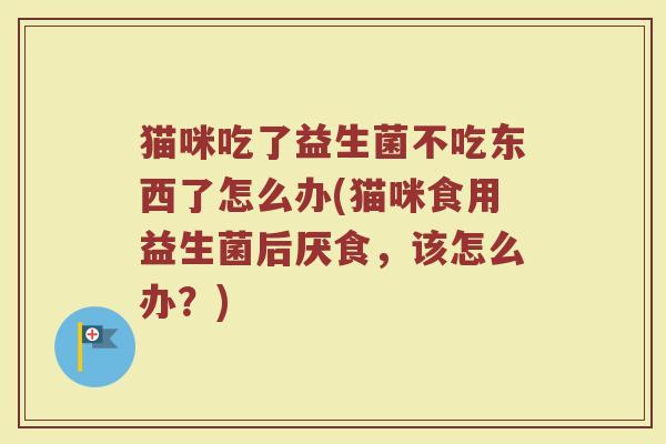 猫咪吃了益生菌不吃东西了怎么办(猫咪食用益生菌后厌食，该怎么办？)