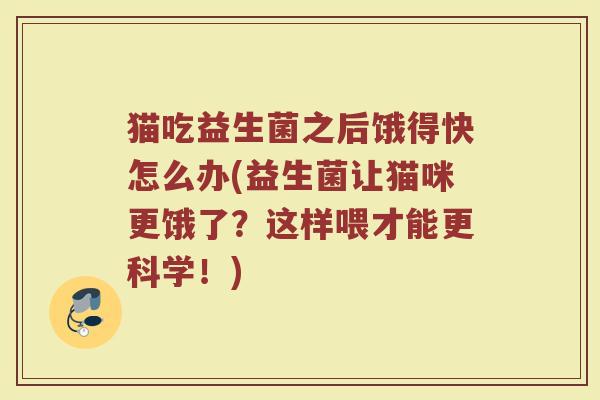 猫吃益生菌之后饿得快怎么办(益生菌让猫咪更饿了？这样喂才能更科学！)