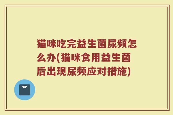 猫咪吃完益生菌尿频怎么办(猫咪食用益生菌后出现尿频应对措施)