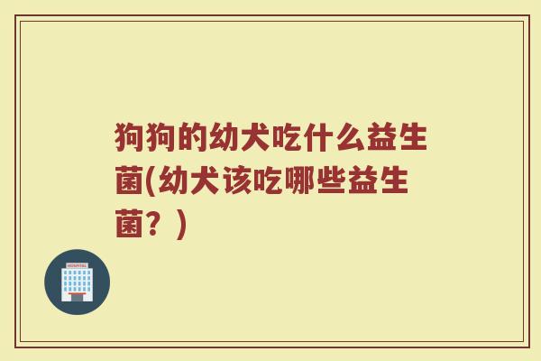 狗狗的幼犬吃什么益生菌(幼犬该吃哪些益生菌？)