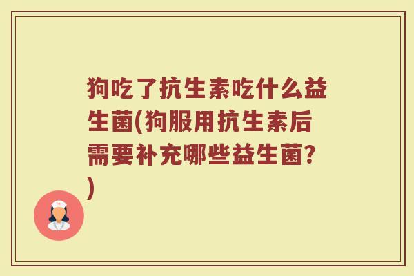 狗吃了抗生素吃什么益生菌(狗服用抗生素后需要补充哪些益生菌？)
