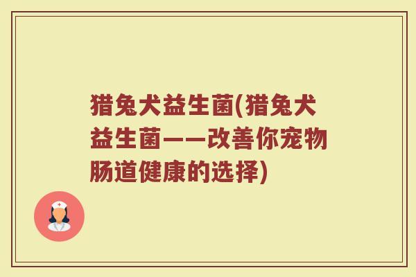 猎兔犬益生菌(猎兔犬益生菌——改善你宠物肠道健康的选择)