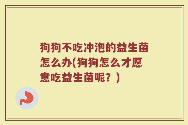 狗狗不吃冲泡的益生菌怎么办(狗狗怎么才愿意吃益生菌呢？)