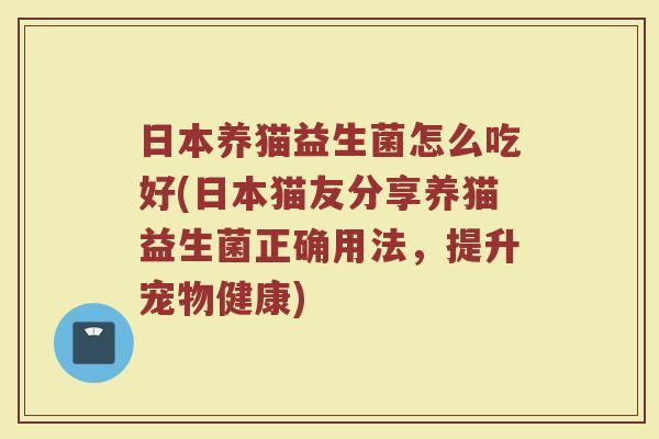 日本养猫益生菌怎么吃好(日本猫友分享养猫益生菌正确用法，提升宠物健康)