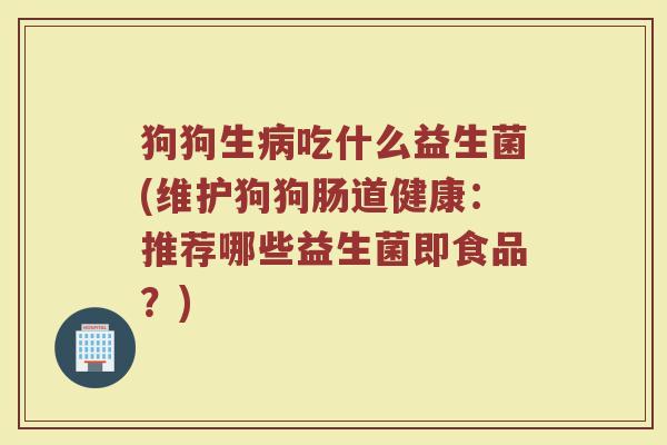 狗狗生病吃什么益生菌(维护狗狗肠道健康：推荐哪些益生菌即食品？)