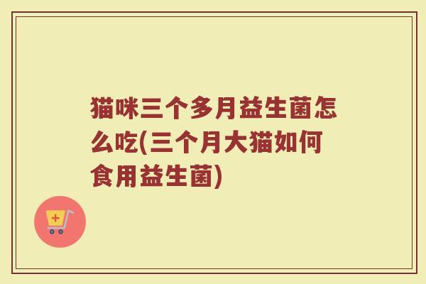 猫咪三个多月益生菌怎么吃(三个月大猫如何食用益生菌)