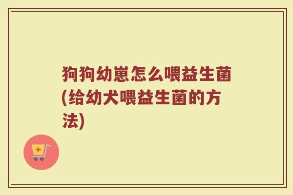 狗狗幼崽怎么喂益生菌(给幼犬喂益生菌的方法)