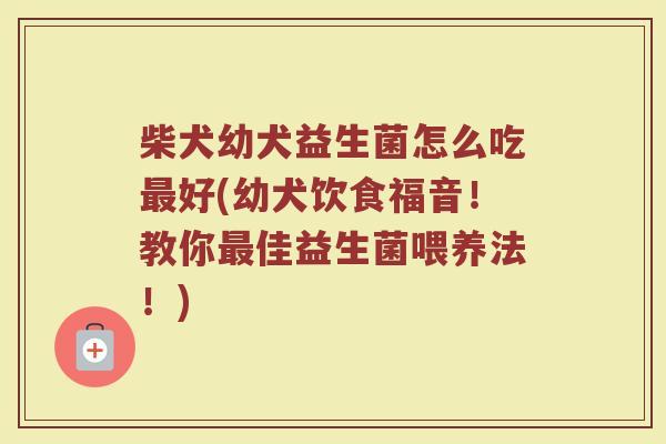 柴犬幼犬益生菌怎么吃最好(幼犬饮食福音！教你最佳益生菌喂养法！)