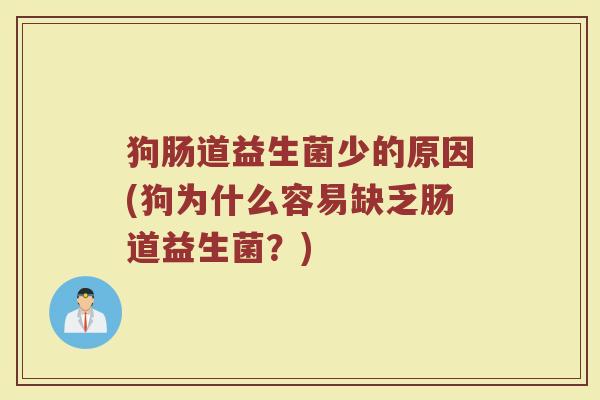 狗肠道益生菌少的原因(狗为什么容易缺乏肠道益生菌？)