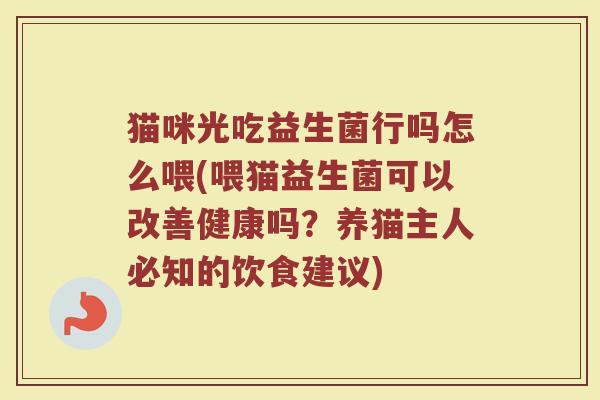 猫咪光吃益生菌行吗怎么喂(喂猫益生菌可以改善健康吗？养猫主人必知的饮食建议)