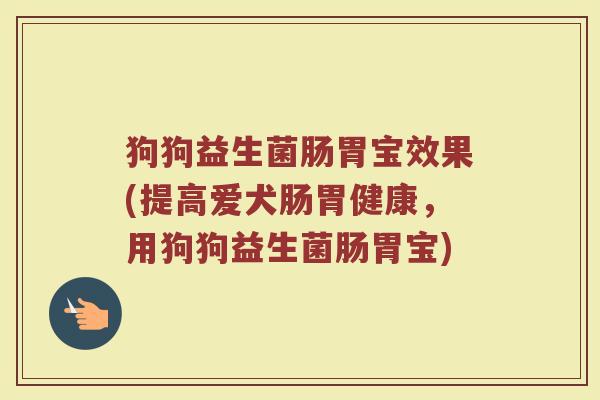 狗狗益生菌肠胃宝效果(提高爱犬肠胃健康，用狗狗益生菌肠胃宝)