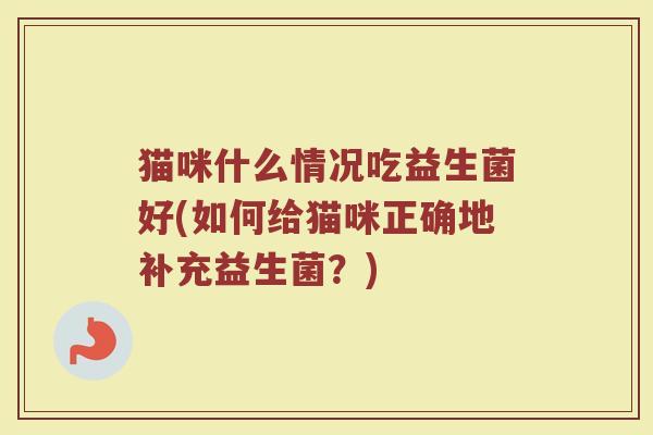 猫咪什么情况吃益生菌好(如何给猫咪正确地补充益生菌？)