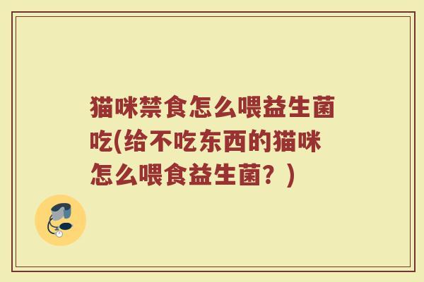 猫咪禁食怎么喂益生菌吃(给不吃东西的猫咪怎么喂食益生菌？)