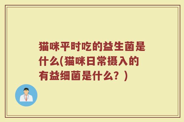 猫咪平时吃的益生菌是什么(猫咪日常摄入的有益细菌是什么？)