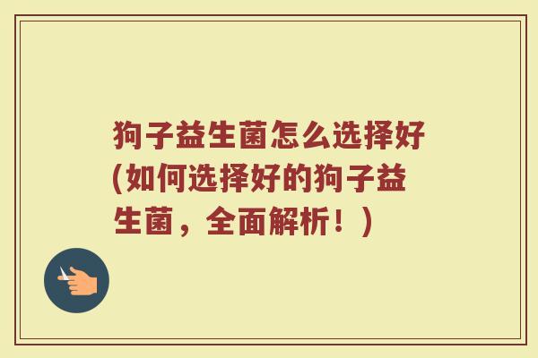 狗子益生菌怎么选择好(如何选择好的狗子益生菌，全面解析！)